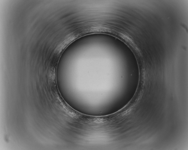 X0000102360841200808081128