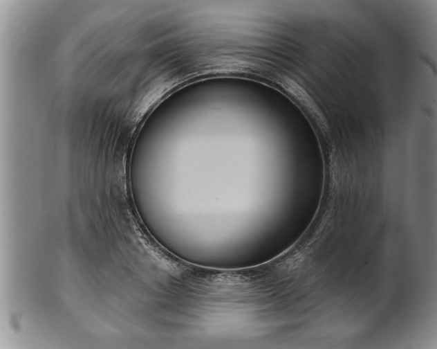 X0000102360842200808081128