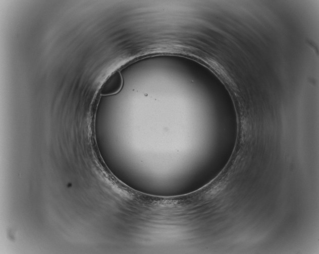 X0000102360846200808081128