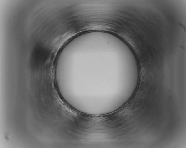 X0000102360848200808081128