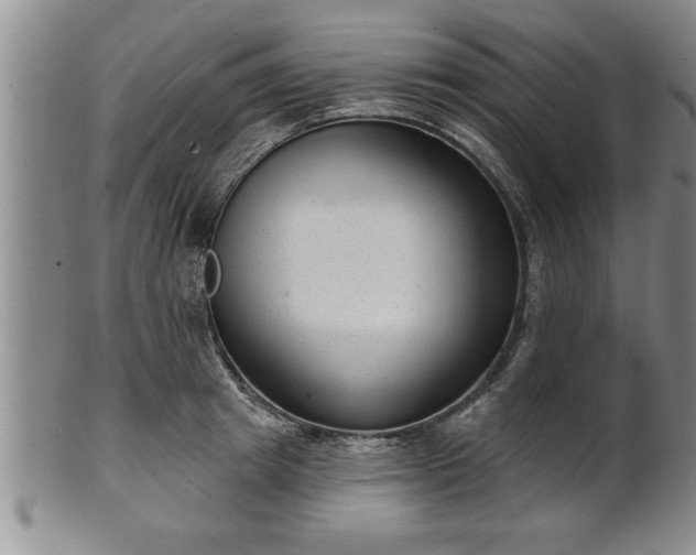 X0000102360849200808081128
