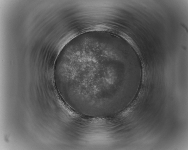 X0000102360850200808081128