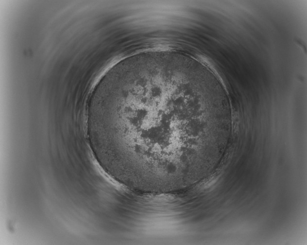 X0000102360851200808081128