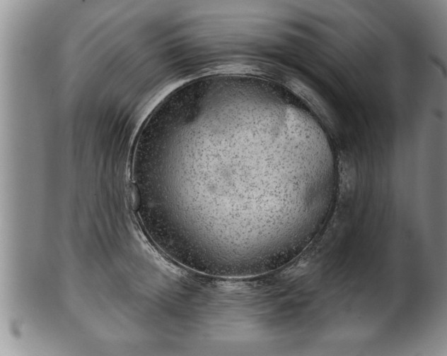 X0000102360852200808081129