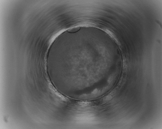 X0000102360854200808081129