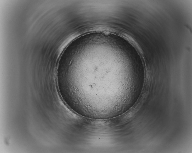 X0000102360855200808081129