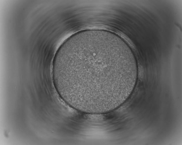 X0000102360856200808081129