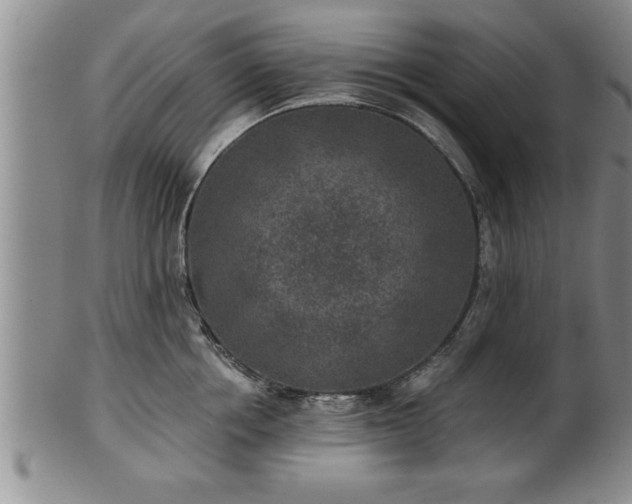X0000102360858200808081129