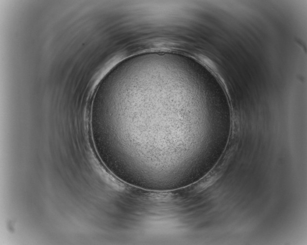 X0000102360859200808081129
