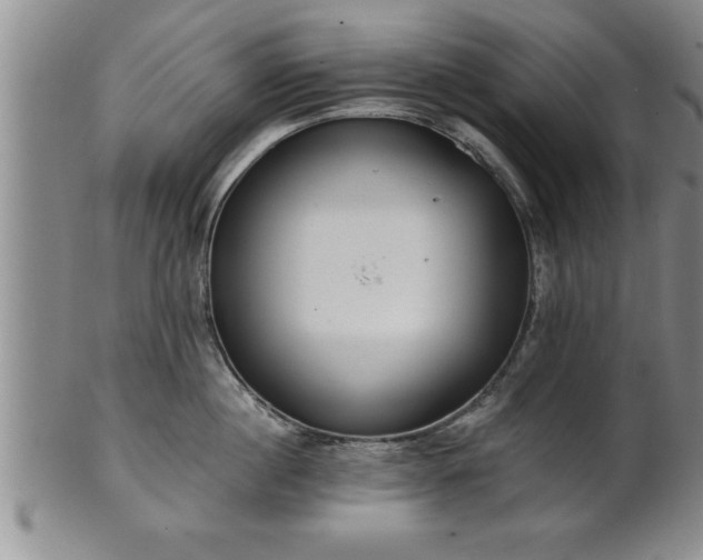 X0000102360860200808081129