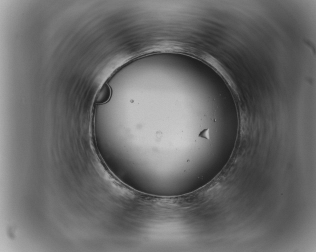 X0000102360861200808081129