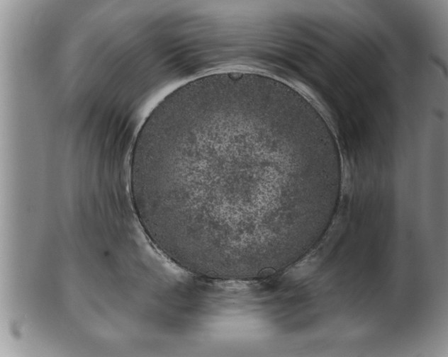 X0000102360862200808081129