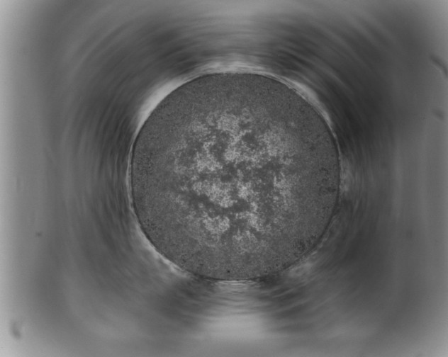 X0000102360863200808081129
