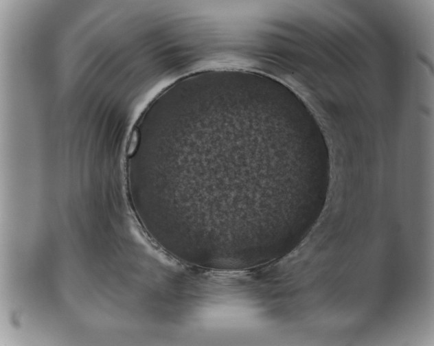 X0000102360864200808081129