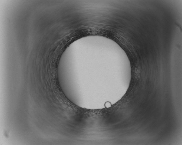 X0000102360865200808081128