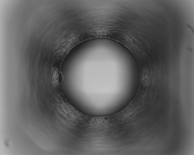 X0000102360866200808081128