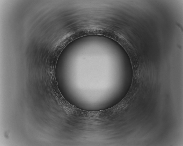 X0000102360870200808081128