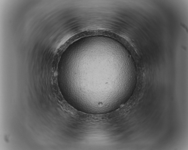 X0000102360871200808081128