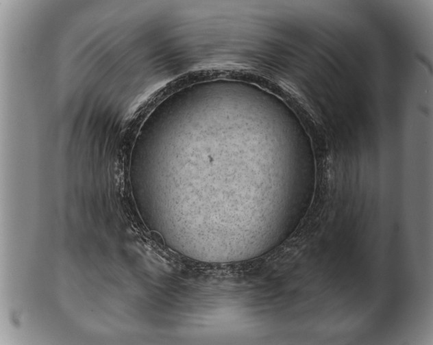 X0000102360872200808081128