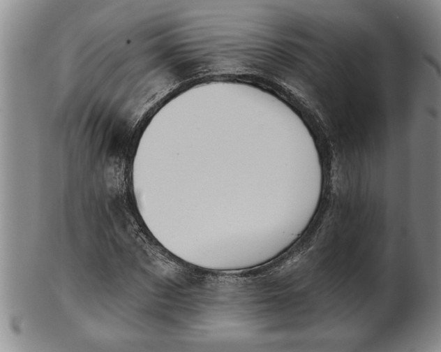 X0000102360873200808081128