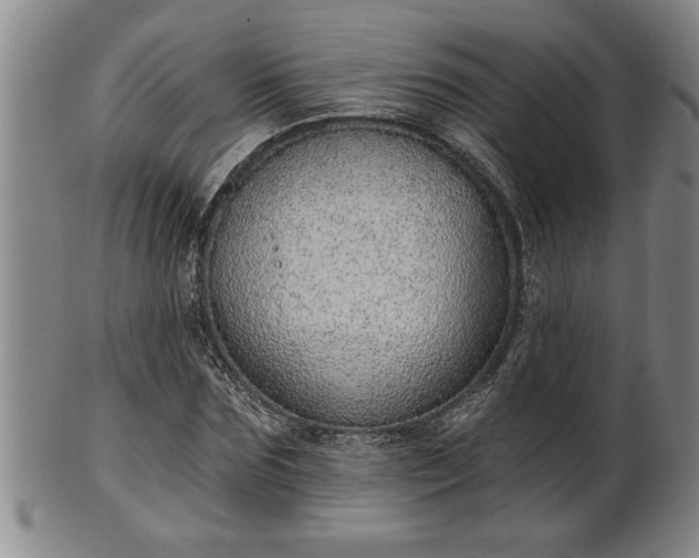 X0000102360875200808081128