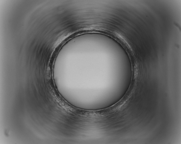X0000102360876200808081128