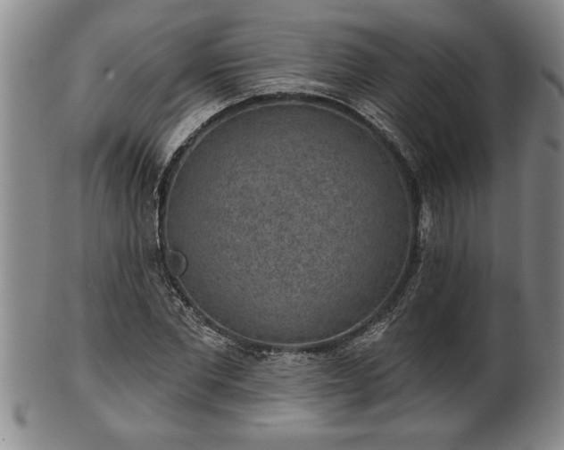 X0000102360877200808081128