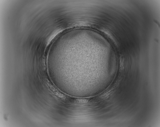 X0000102360878200808081128