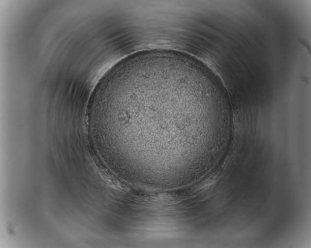 X0000102360879200808081128