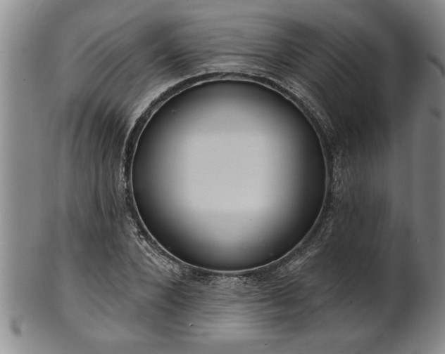 X0000102360880200808081128