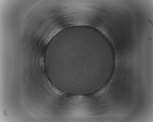 X0000102360881200808081128