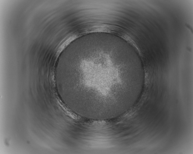 X0000102360882200808081128