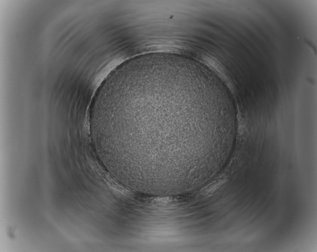 X0000102360883200808081128