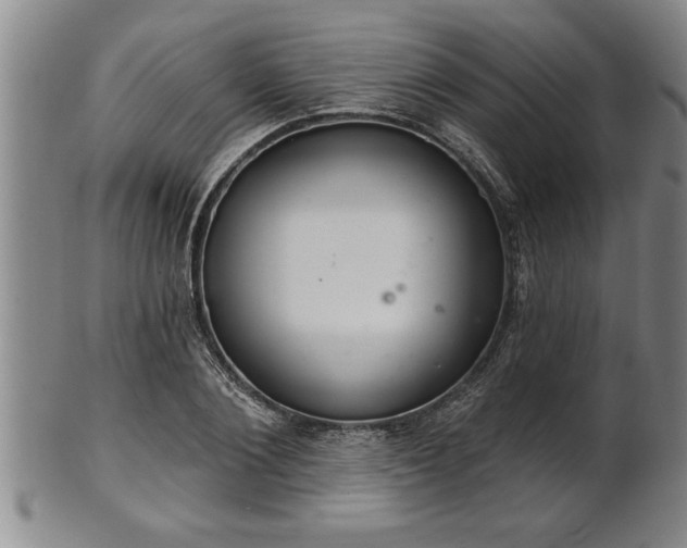 X0000102360884200808081128