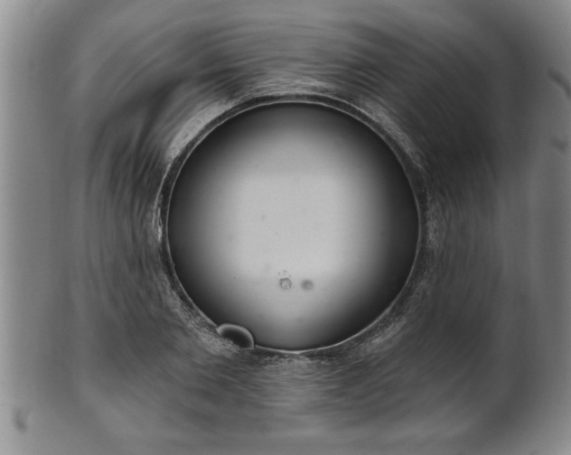 X0000102360885200808081128