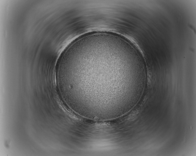X0000102360887200808081128
