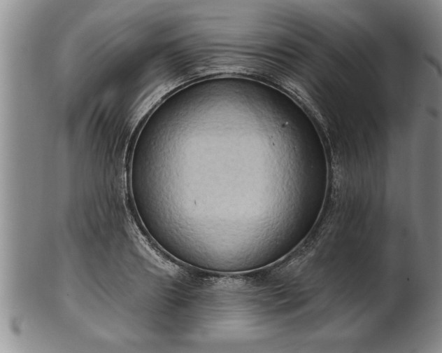 X0000102360890200808081128