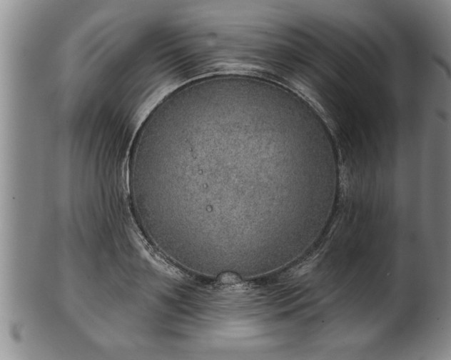 X0000102360891200808081128