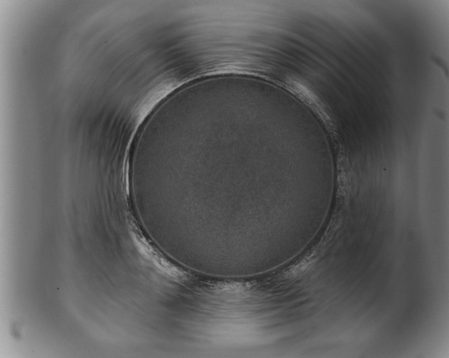 X0000102360892200808081128