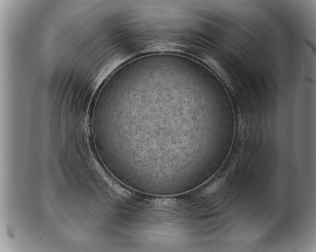 X0000102360893200808081128