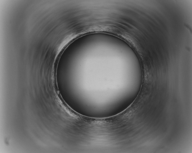X0000102360894200808081128