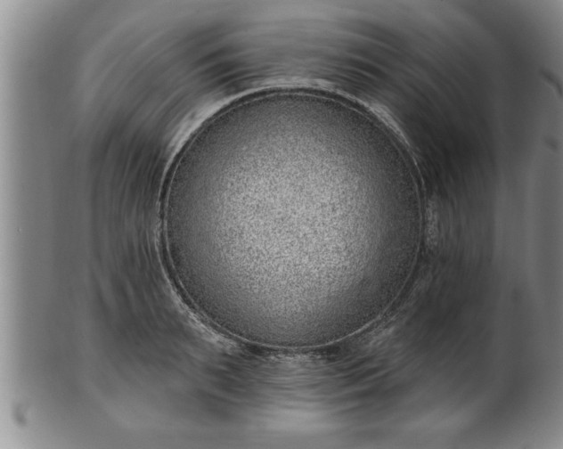 X0000102360895200808081128