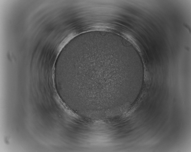 X0000102360899200808081128