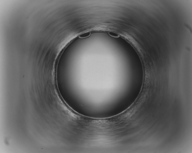 X0000102360902200808081127