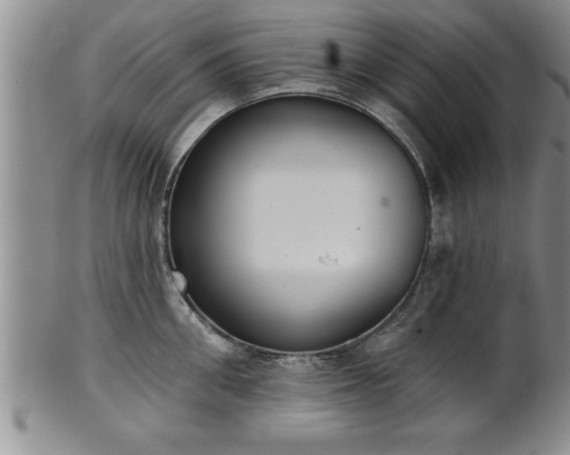 X0000102360906200808081127