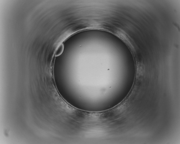 X0000102360908200808081127