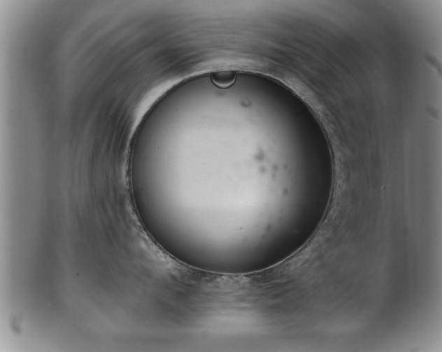 X0000102360912200808081127