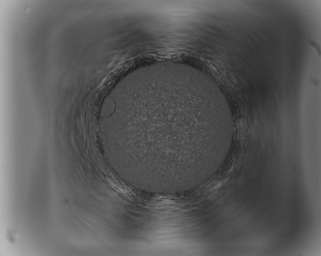 X0000102360913200808081127