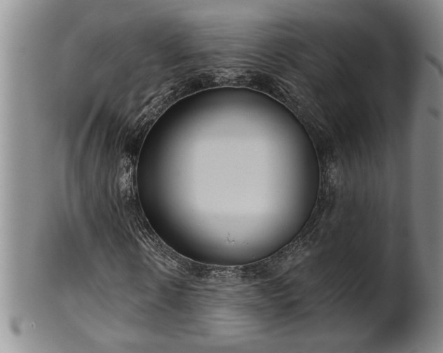 X0000102360914200808081127