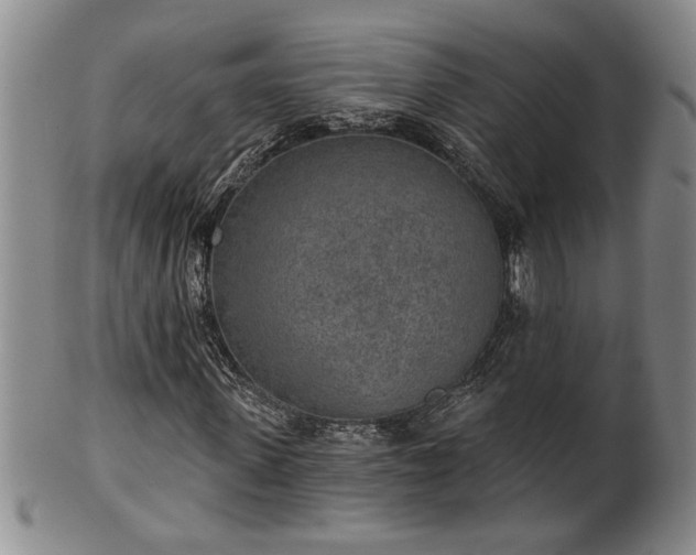X0000102360915200808081127